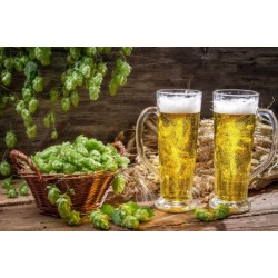 Ароматизатор «Хмель»